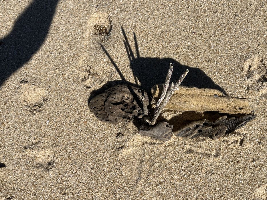 Pedra e troncos para aquario