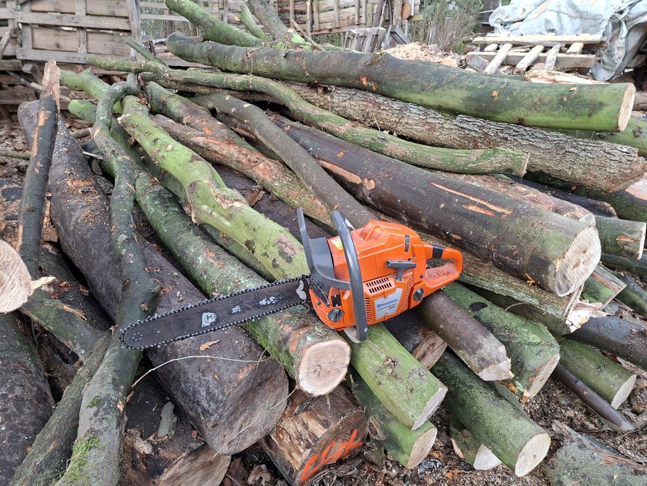 Drewno do palenia, liściaste gatunki