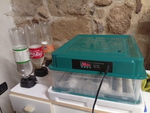 [Preço EXCLUSIVO]Incubadora 36 ovos Automática* Portes Incluídos
•36 Ovos•    Preço Fábrica 
   Portes incluídos