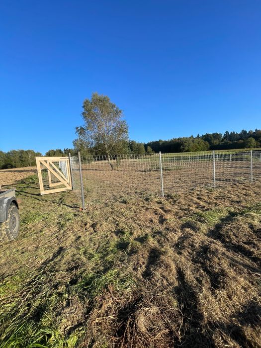 Ogrodzenie panelowe, z siatki, z siatki leśnej.