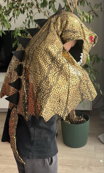 Strój smoka na bal przebierańców/ bal