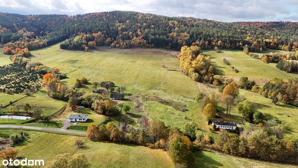 Leszczawa Górna - działka siedliskowa - Widok 4