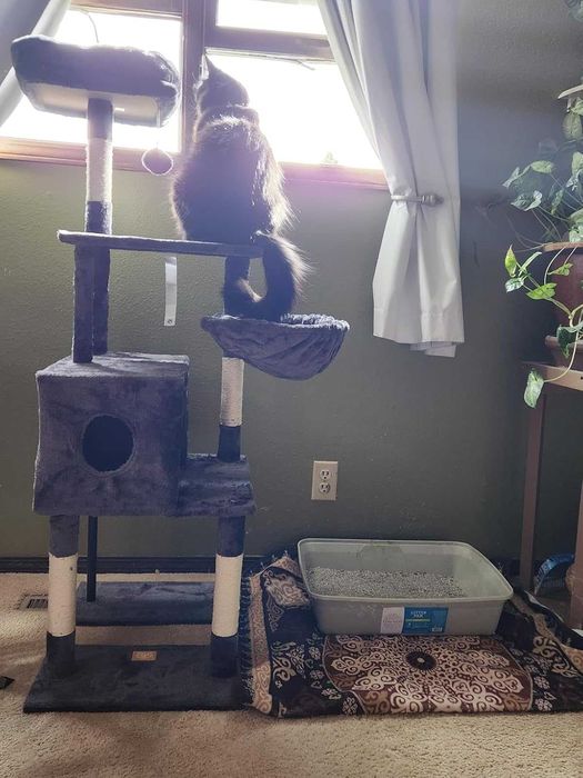 Drapak dla kota wysoki 125cm Domek Hamak Legowisko Szary NOWY