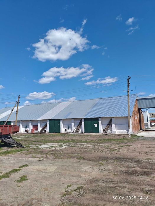 Продаж елеваторного комплексу ТОВ «Маловисківське ХПП «ТАС АГРО»