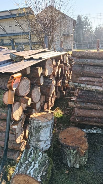 Drewno opałowe sosna, świerk, brzoza