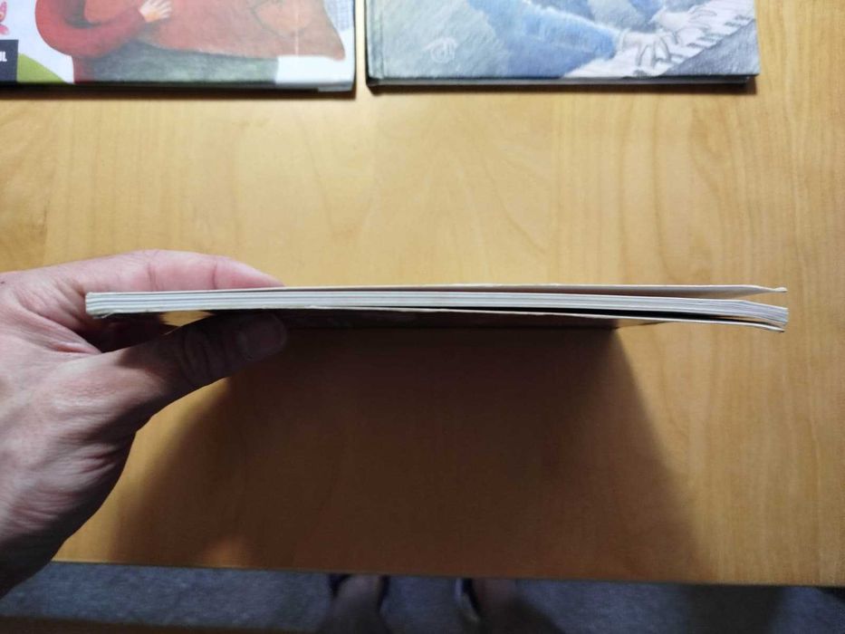 Livro Guia do Consumidor dos Peixes Açorianos, de Les Gallagher et al.
