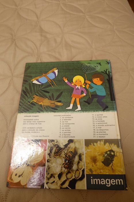 Livro “Os Insetos” Verbo Infantil