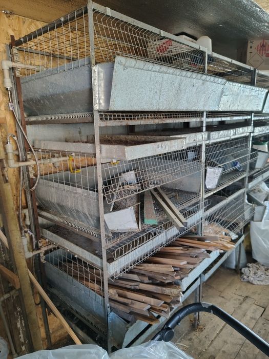 Клітки для бройлеров