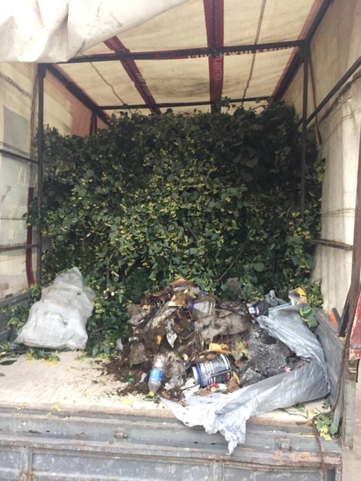 Вивіз будівельного сміття гілок старої меблі