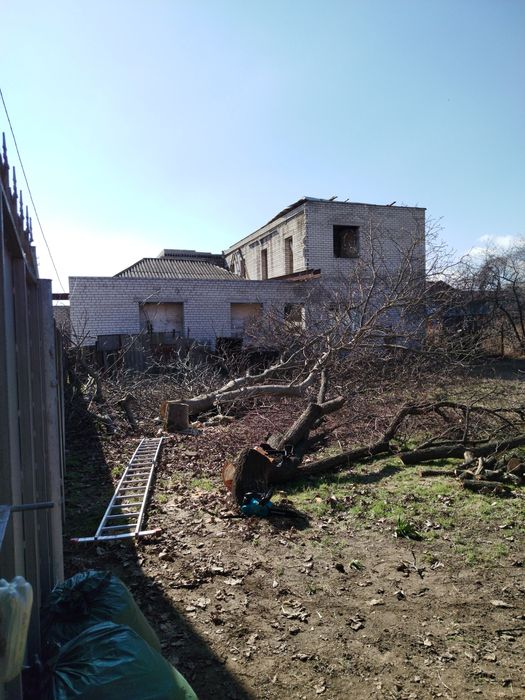 Спил і чистка дерев