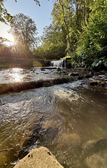 Будинок для Відпочинку Закарпаття, м. Свалява.