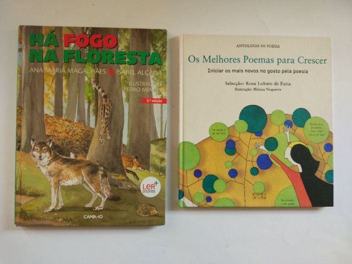 Vários Livros Infanto Juvenis