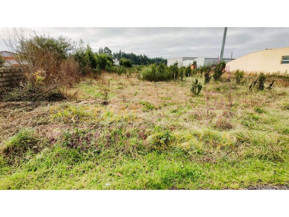 Terreno para construção com 2 artigos- Calvão-Vagos-Aveiro
