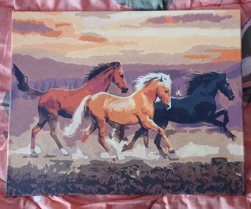 Картина по номерах 