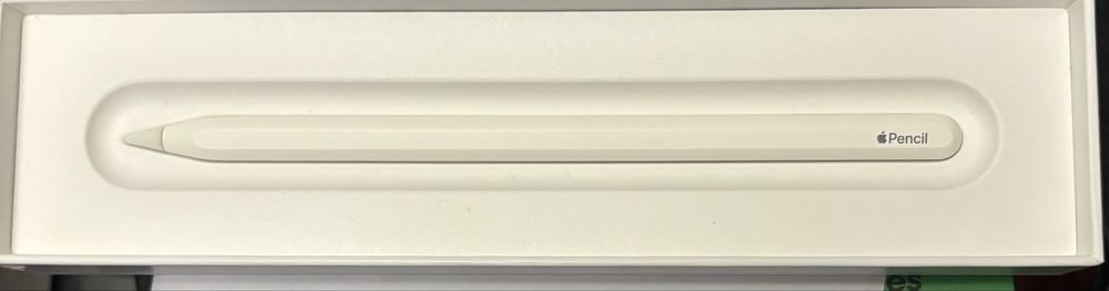 Apple Pencil (USB-C) – Como Novo