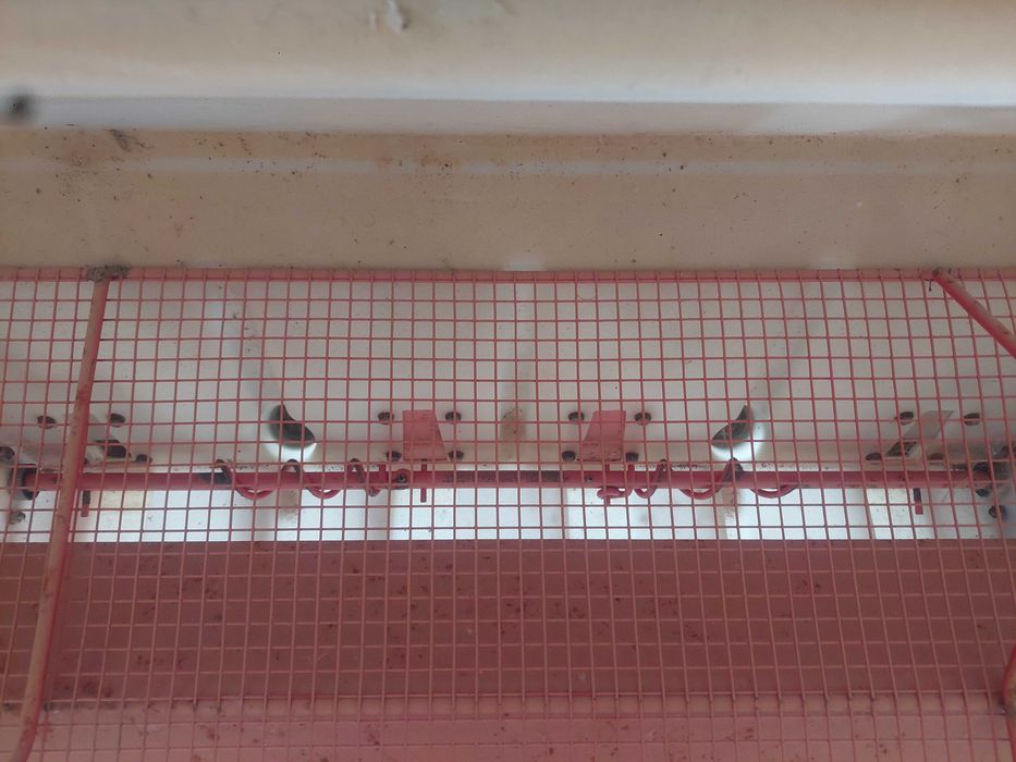 Abre regos Adubador Gaspardo