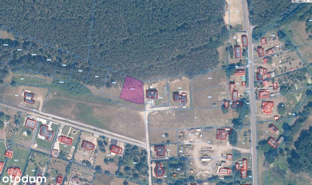Działka przy lesie 1288 m² • Przytok • Nowa droga 2027 - Widok 5