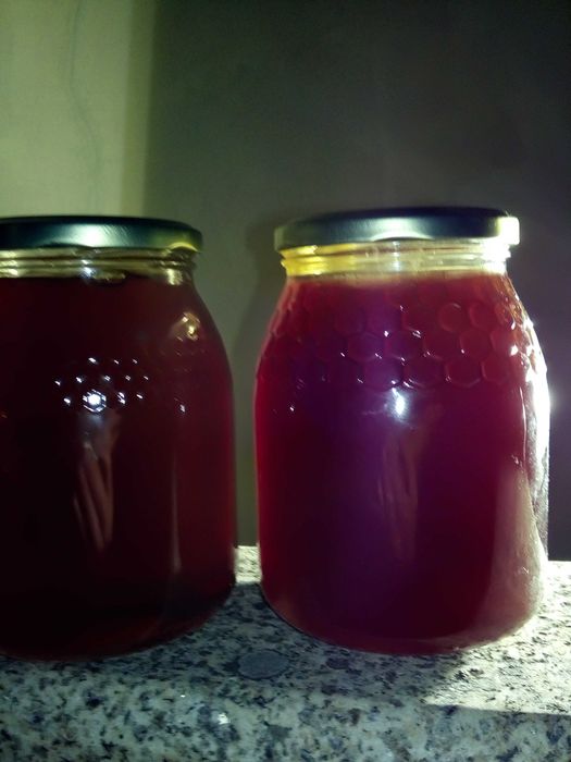 Mel de Murça Multifloral. Cresta 2025