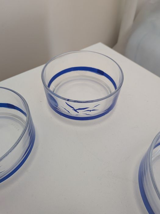 Conjunto de 6 taças