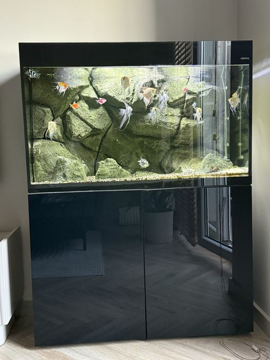 Zestaw aquael glossy 215 L z szafka i pełnym wyposażeniem