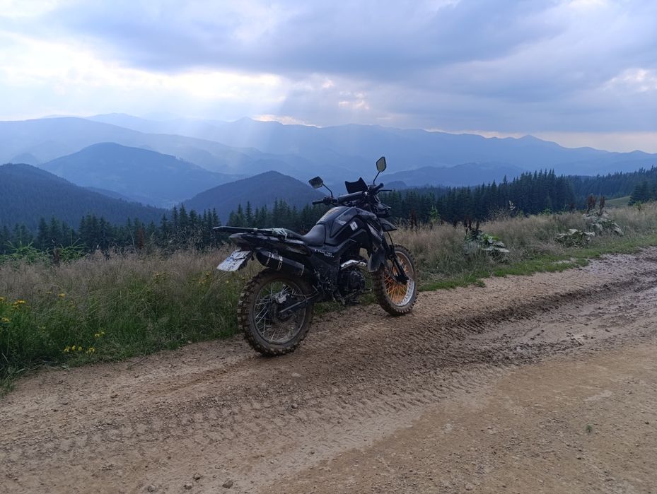 SH/NERAY x–trail 250 yrophy
