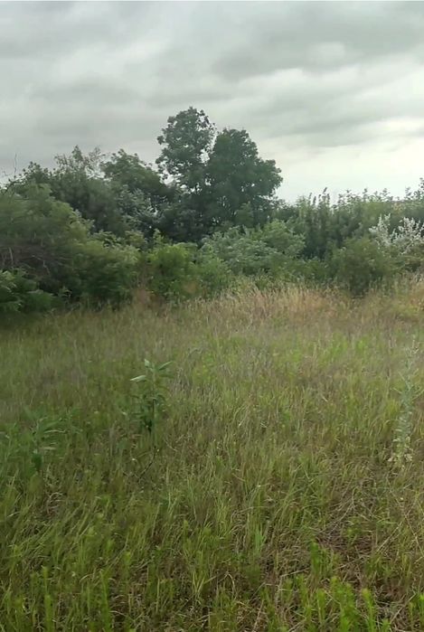 Продажа дачного участка