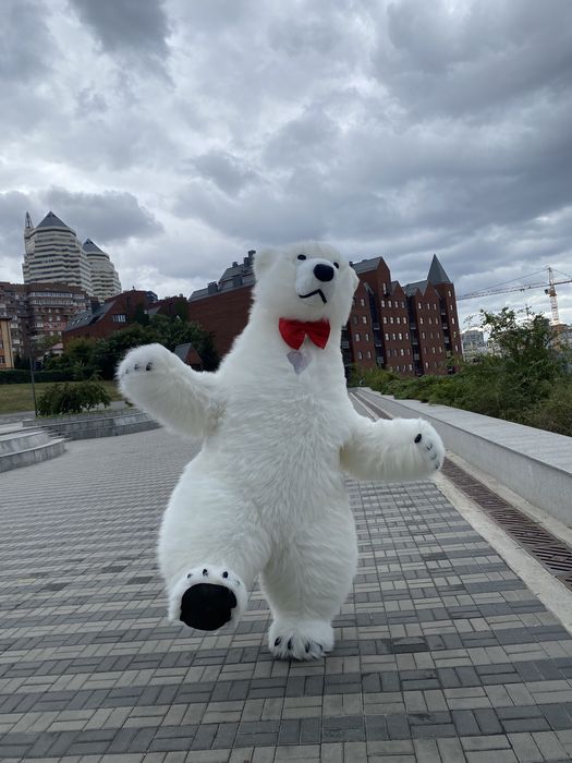 Поздравления от Белого Медведя - Інші послуги для свят Дніпро на Olx