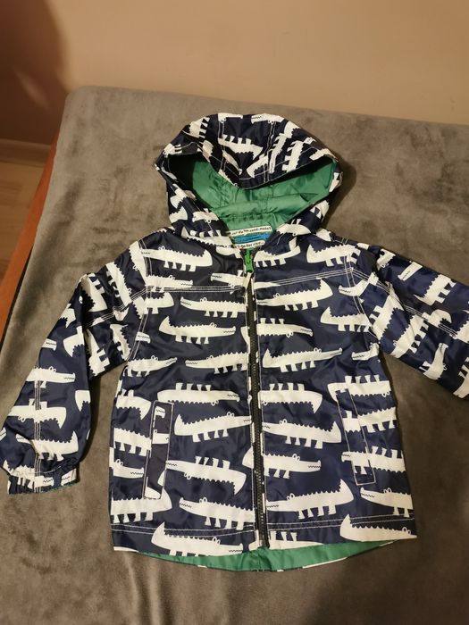 Kurteczka chłopięca