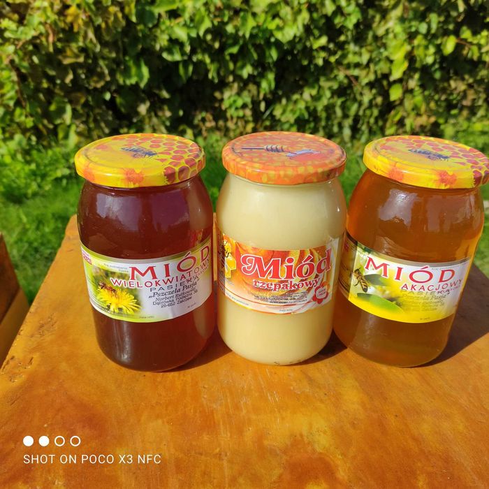 Świeży Miód zbiór 2025 z własnej pasieki
