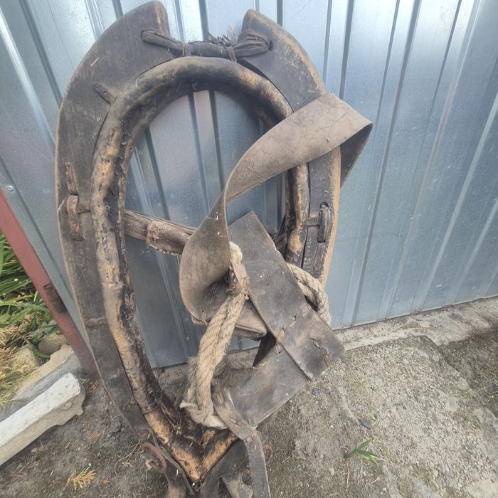 Sprzedam stare homonto.