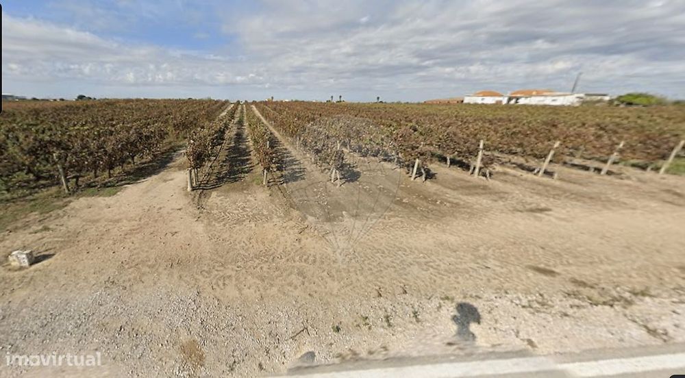 Terreno  para venda