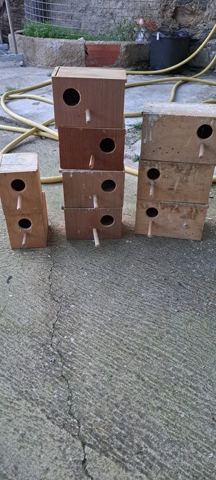 Ninhos para exóticos