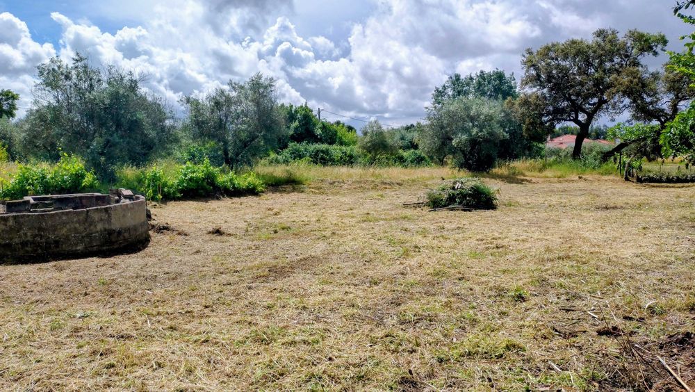 Terreno rustico 500m2 em Touloes Idanha-a-Nova