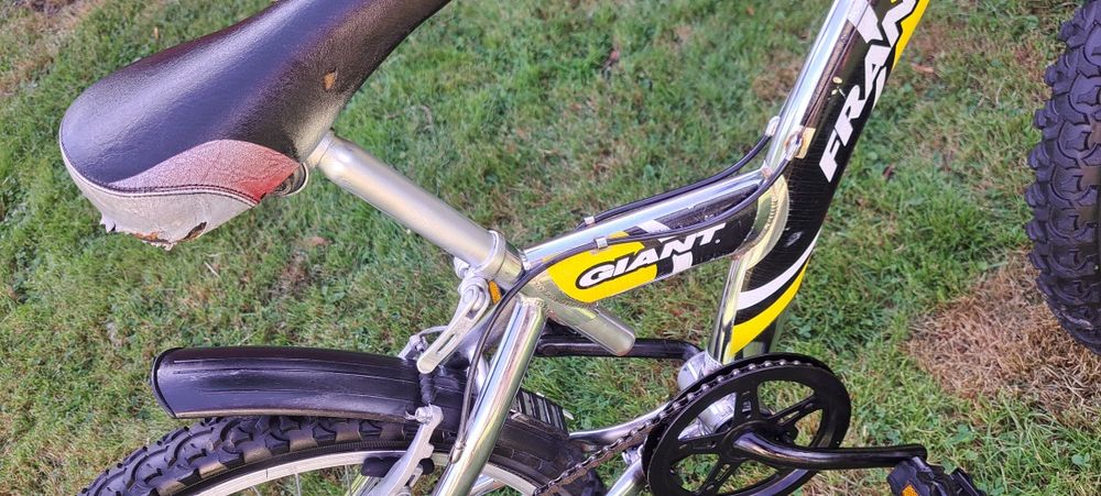 Rower dla dziecka Giant 20"