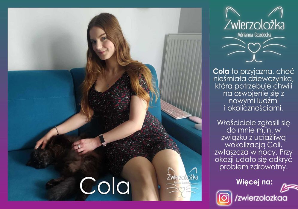 Behawiorysta zoopsycholog – Koty, Psy, Gryzonie