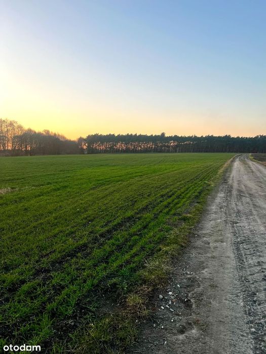 Działki budowlane Zakrzewice/Gogolewo