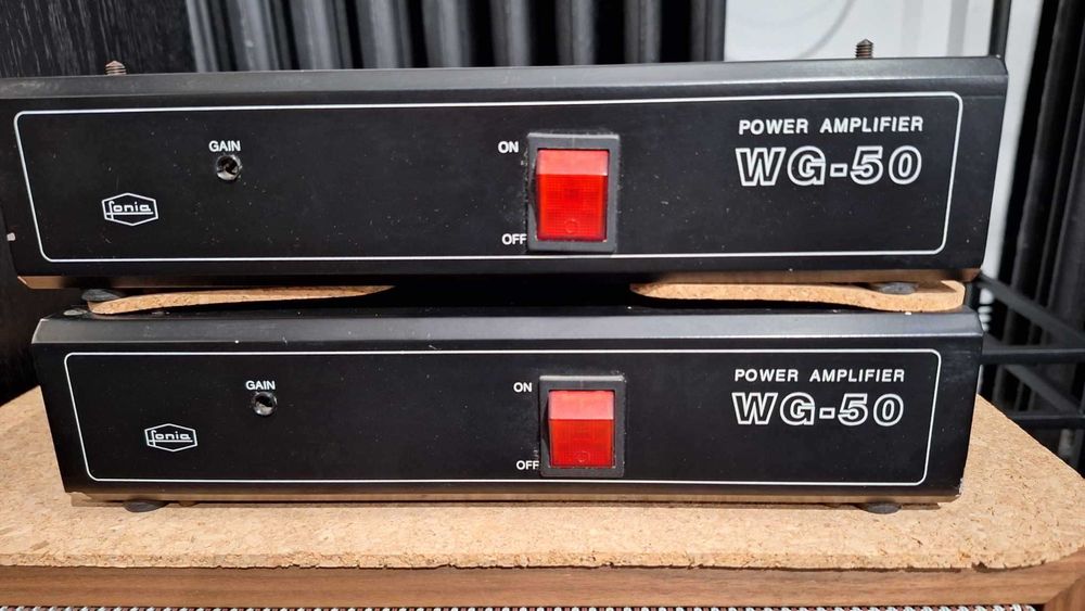 Końcówka mocy mono Fonia WG50 - 2 sztuki, analogowe ciepłe granie