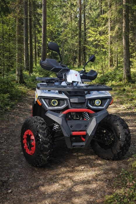 Forte Braves 200
