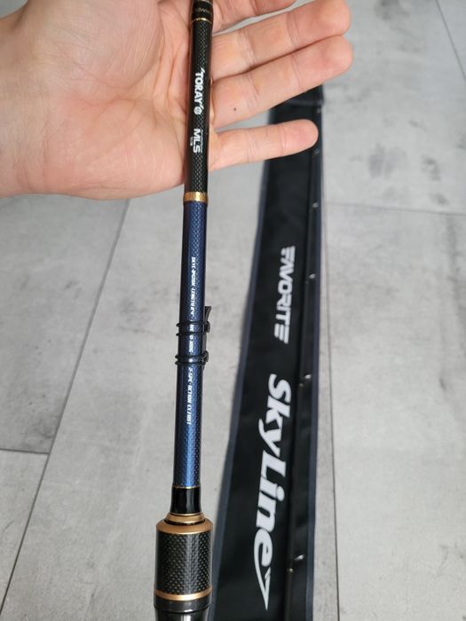 Favorite Skyline Cast 2.54m 30-100g