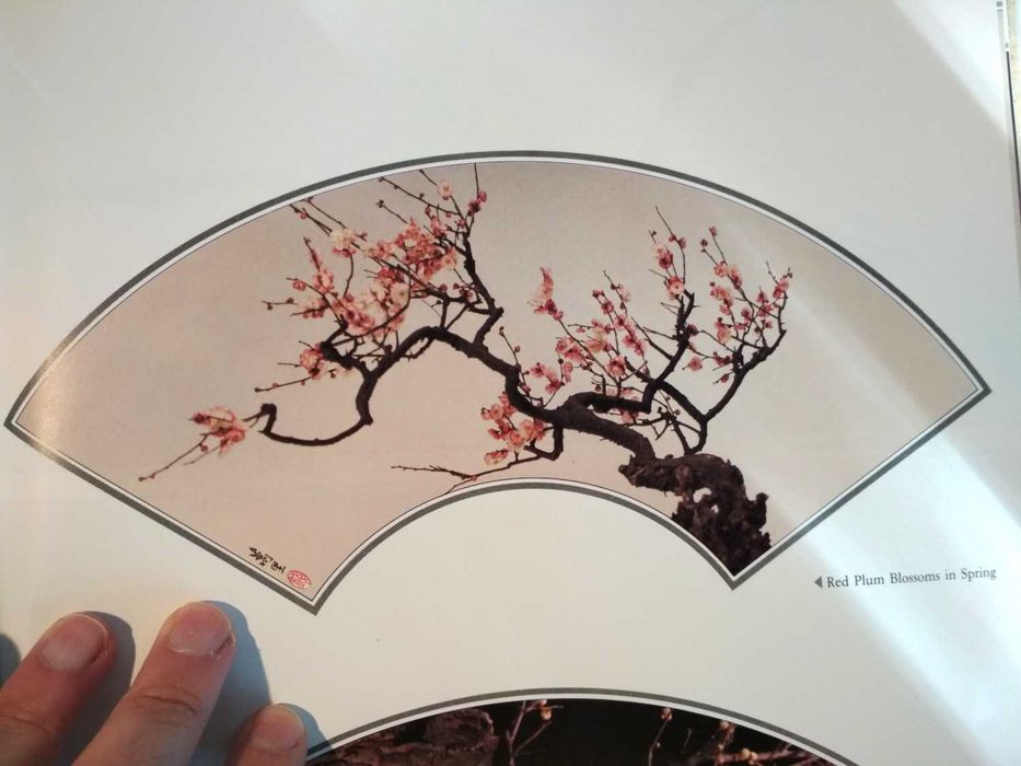 The Painterly Lens - Manly Chin (porte incluído)