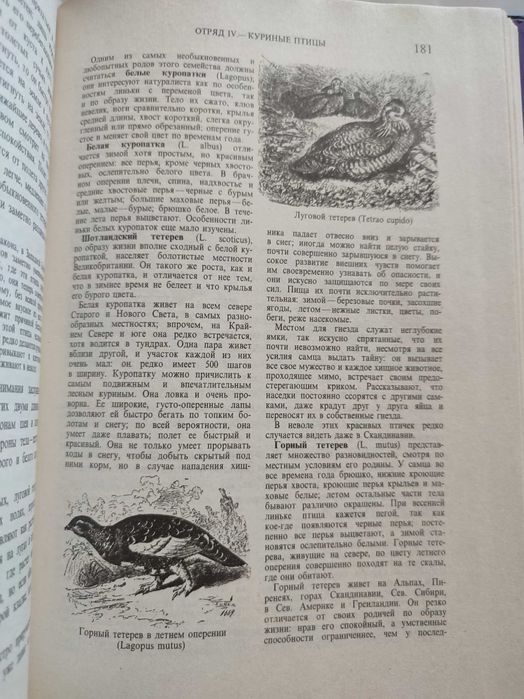 Брем Жизнь животных Том 1 + Том 2