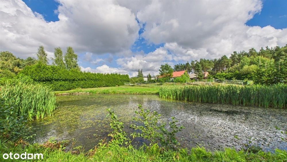 Wyjątkowa nieruchomość inwestycyjna nad zalewem w