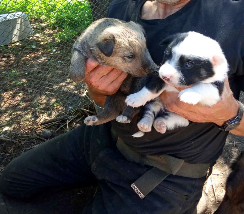 Бесплатно классные малышки