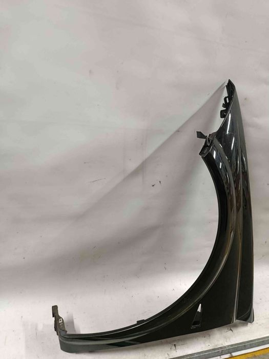 Guarda-lamas esquerdo RENAULT Megane II CC (EM0/1_)