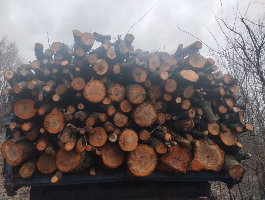 Продам дрова твердых/мешаных пород