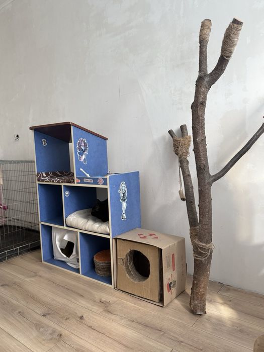 Перетримка котів