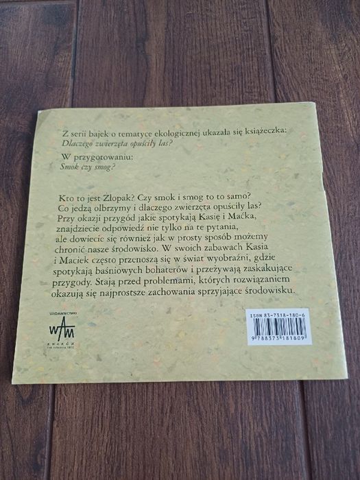 Świetlikowa grota Wioletta Sowa Wydawnictwo WAM