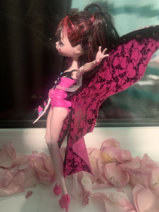 дракулаура 2016 года (опис)