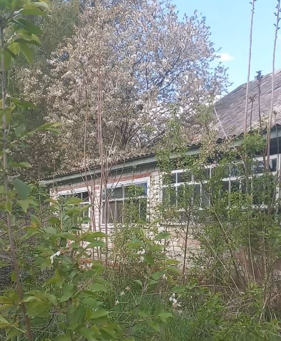 Будинок, сдам 1к, Безкоштовне житло безкоштовне проживання