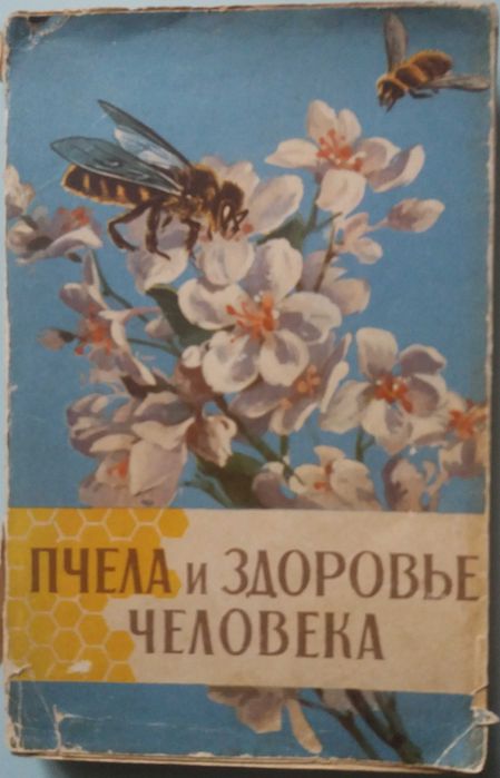 Пчела и здоровье человека.